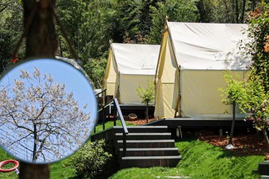 图片 1.png 图片 1.png